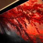 تابلو نقاشی جنگل سیاه قرمز