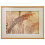 تابلو WHEAT