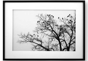 تابلو مدرن درخت و پرنده ها (FLOCK OF BIRDS ON TREE)