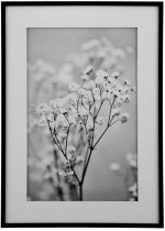 تابلو مدرن GYPSOPHILA