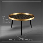 میز جلو مبلی MONZA