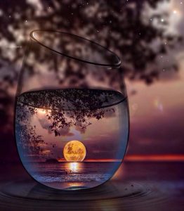 drink of moon