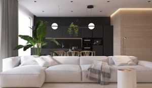 گیاهان در دکوراسیون سیاه و سفید